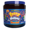 Tarry Pulpa Para Escarchar Micheladas Mora Chamoy 900gr